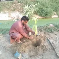 Green Seekers Activity